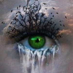 Meet your Posher, Jaja